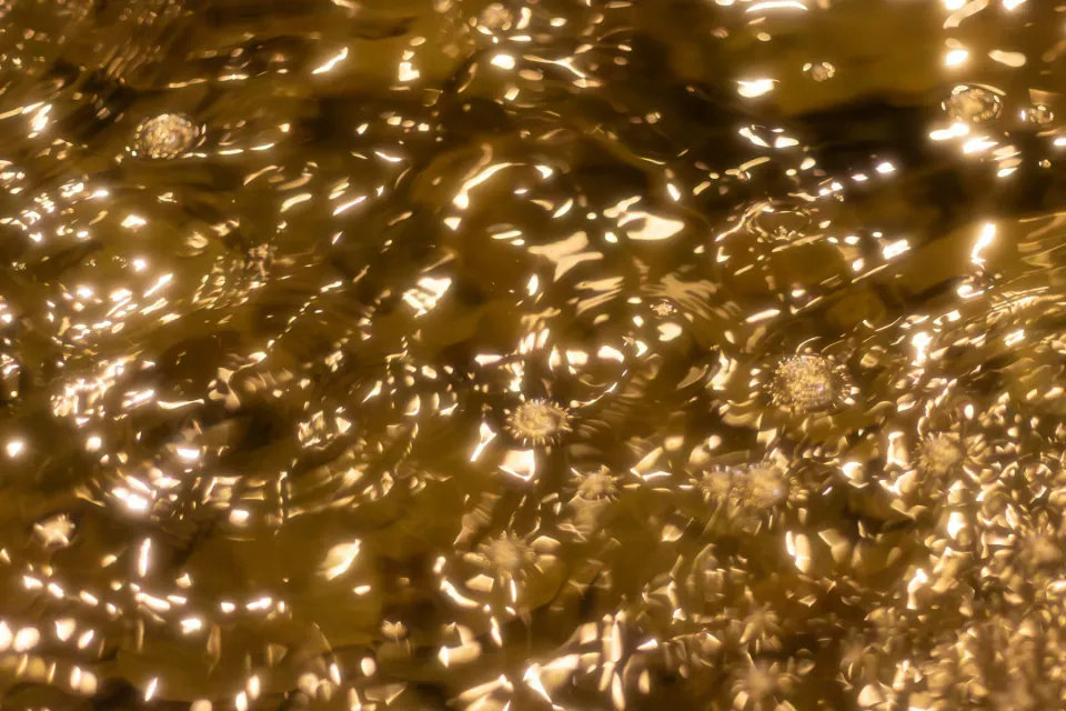 Reflets dorés formant des cercles et des ondulations à la surface de l’eau
